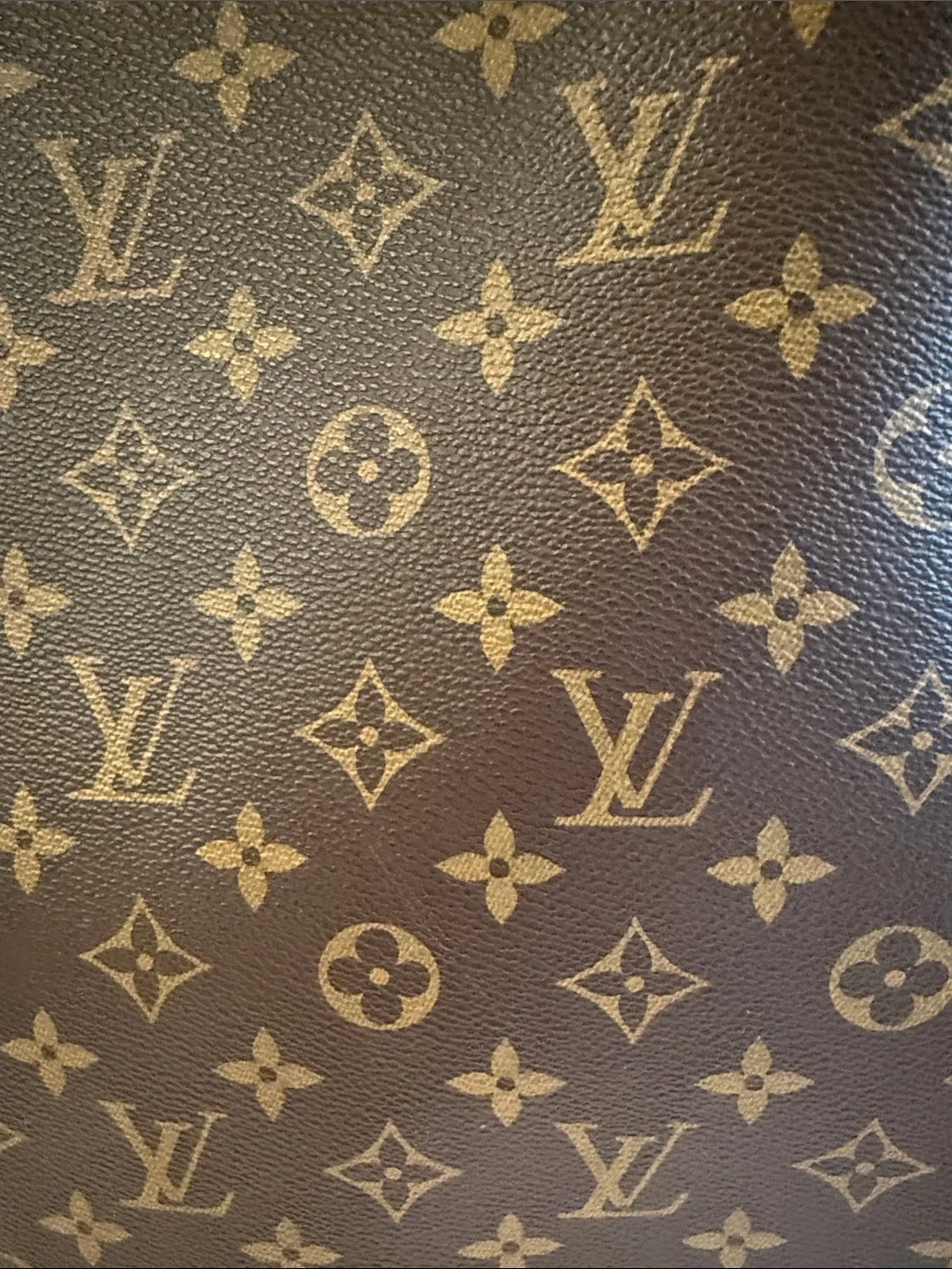 Louis Vuitton monogram Pagase 55 carry on- Brown & Tan